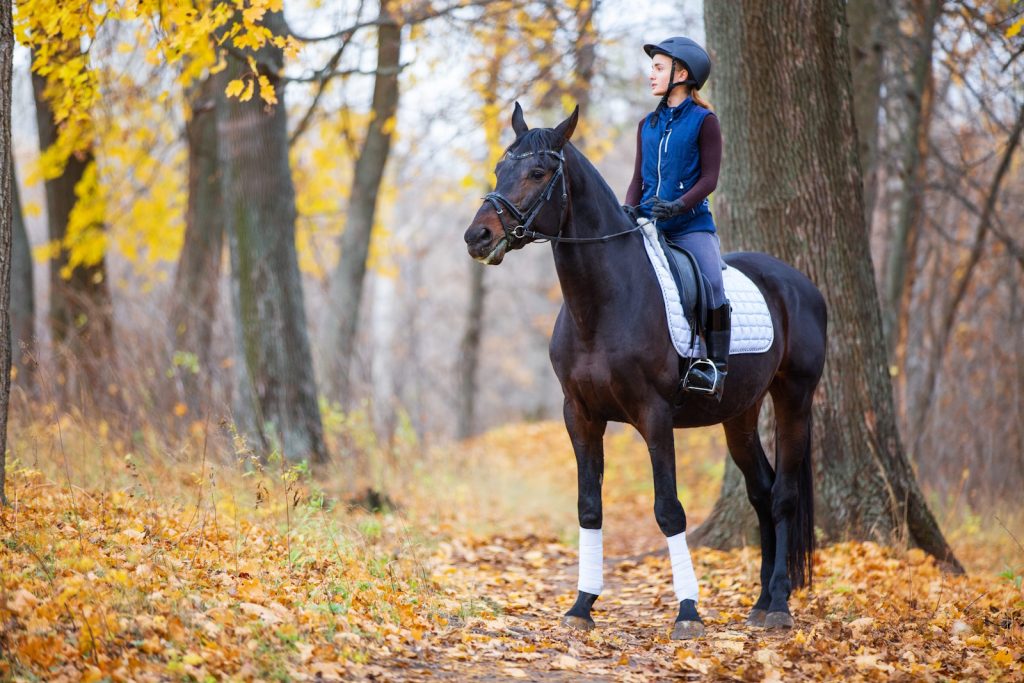 Equestrian Accident Claim
