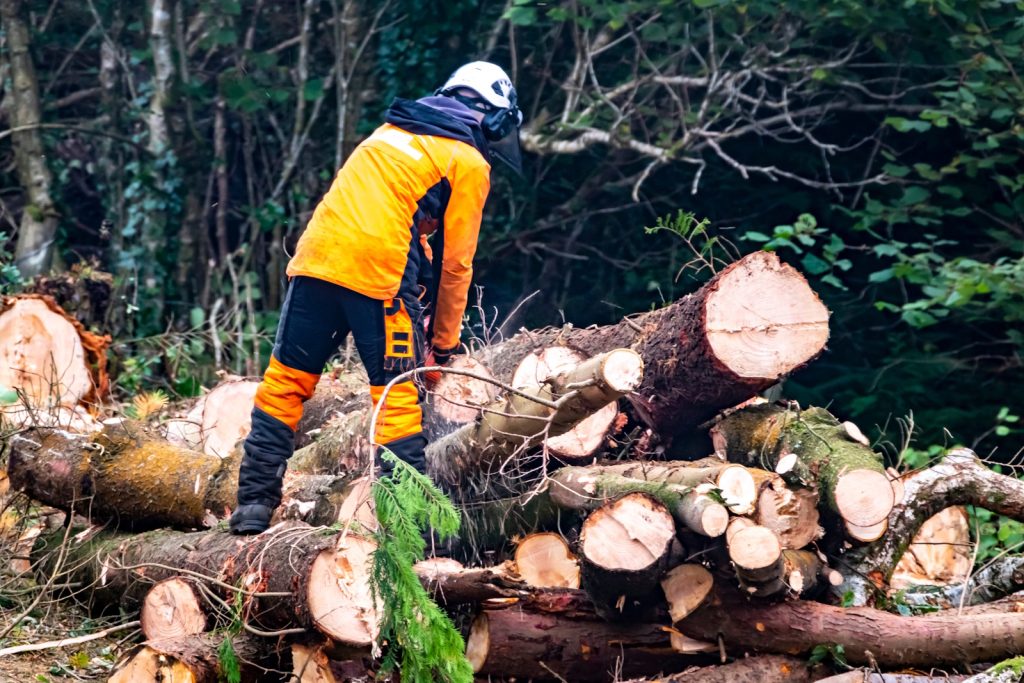 Forestry Worker