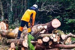 Forestry Worker