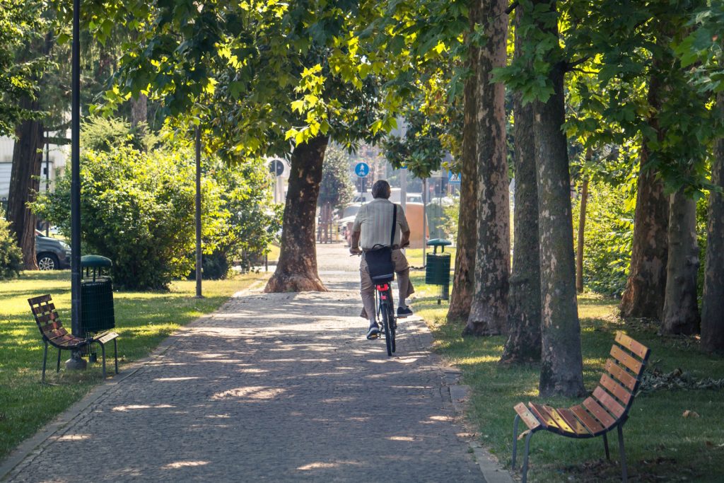 Public Park